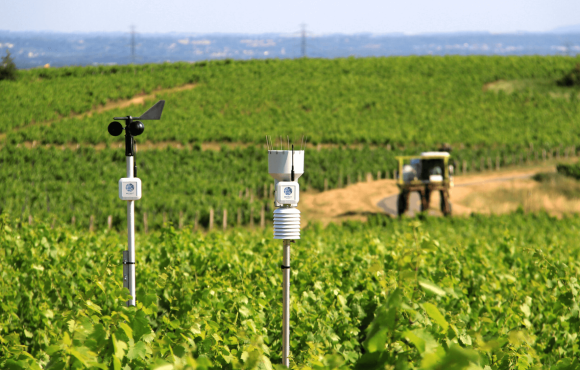 Weenat & UnaBiz France boost agricultural efficiency for over 30,000 farmers with IoT sensors connected to LPWANs