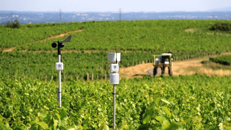 Weenat & UnaBiz France boost agricultural efficiency for over 30,000 farmers with IoT sensors connected to LPWANs